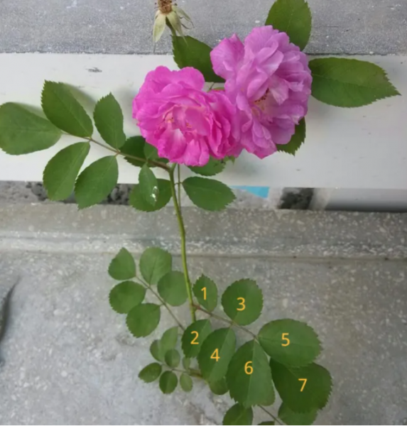 QQ图片20221014134607.png