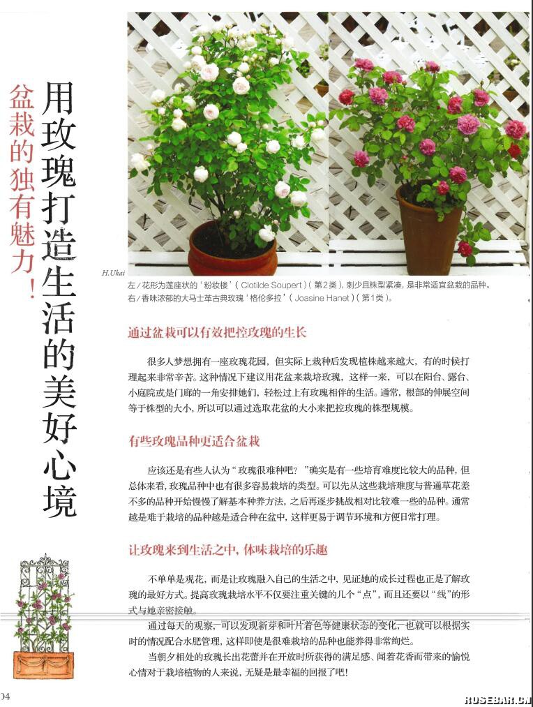 QQ截图20230407140152.jpg