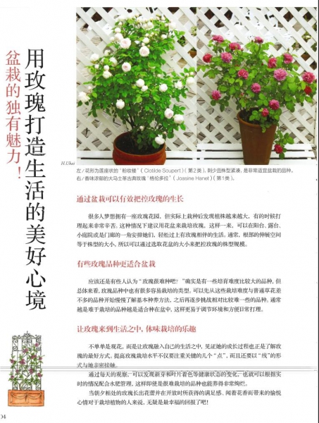 QQ截图20230407140152.jpg