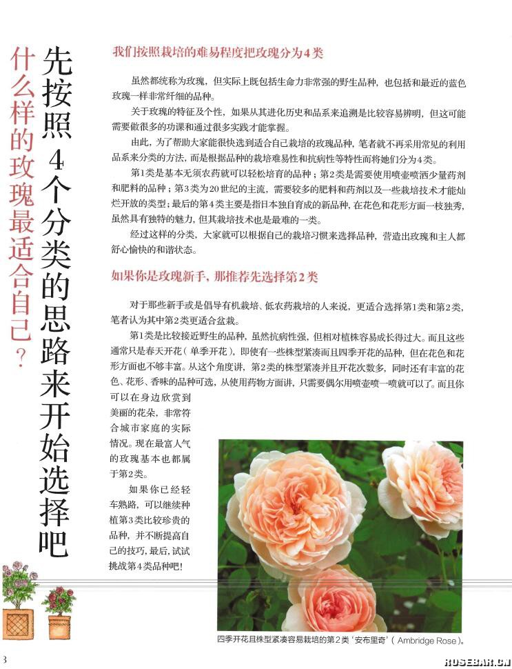 QQ截图20230407140348.jpg