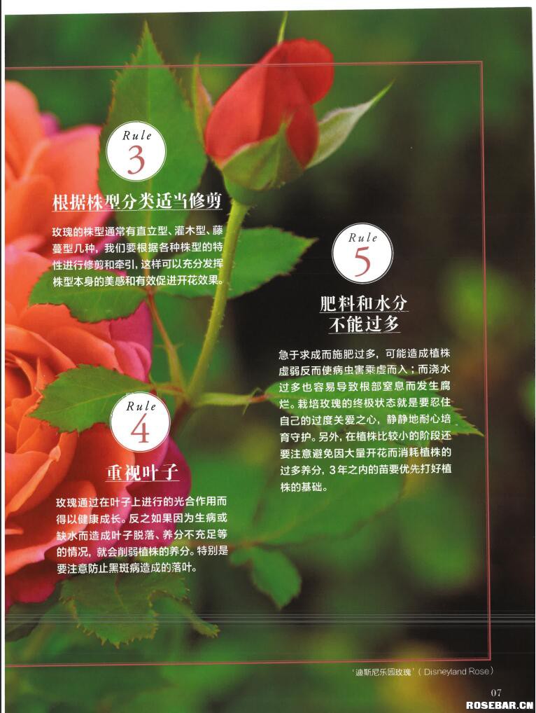 QQ截图20230407140316.jpg