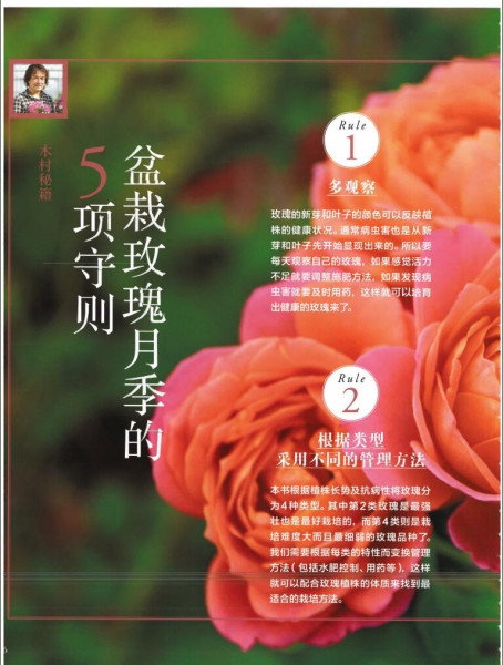 QQ截图20230407140237.jpg