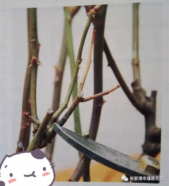 w8.jpg