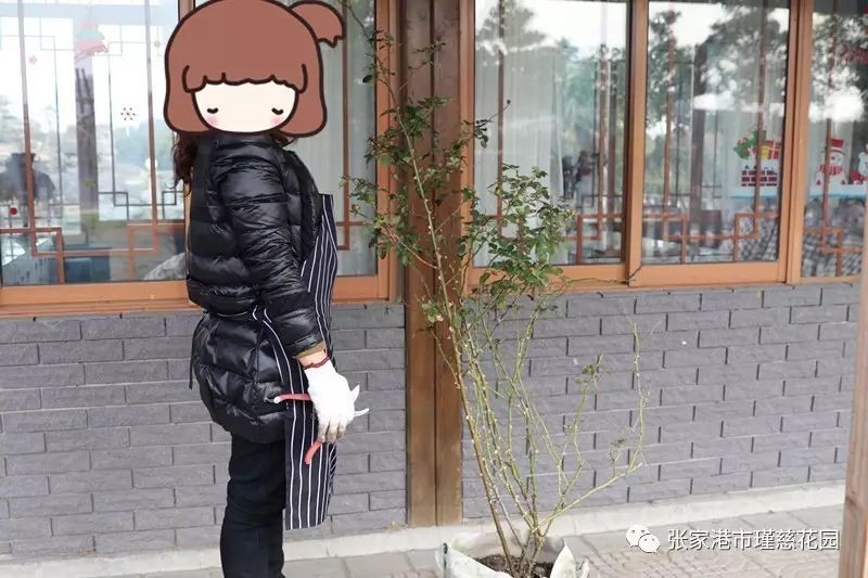 w25.jpg