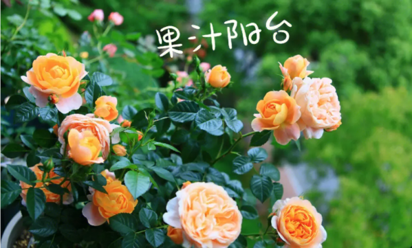 QQ图片20240307145633.png