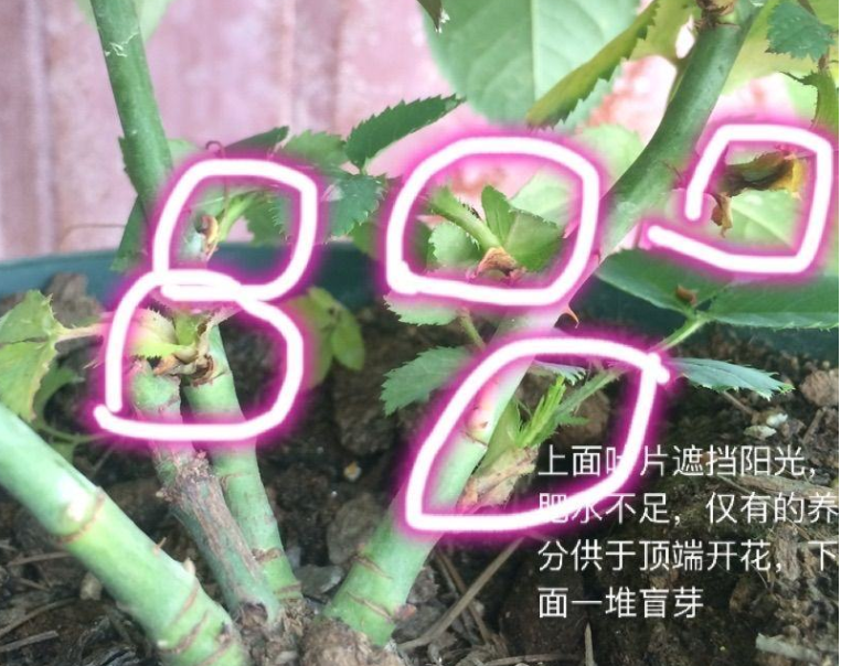 QQ图片20240329163506.png