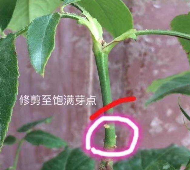 QQ图片20240329163406.png