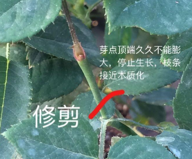 QQ图片20240329163348.png