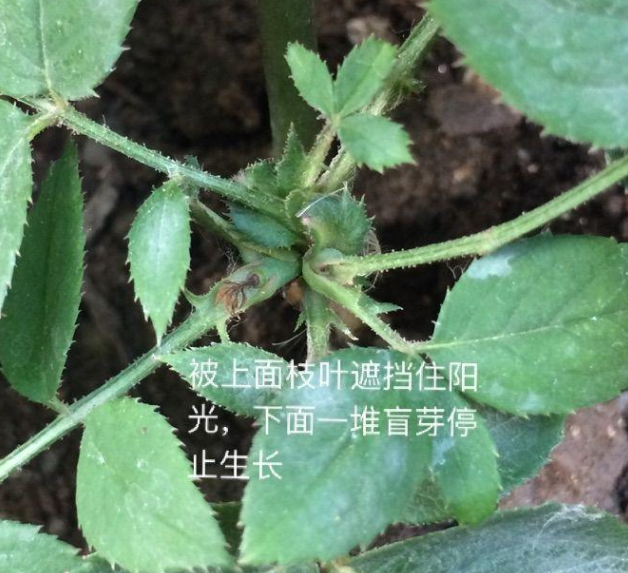 QQ图片20240329163252.png