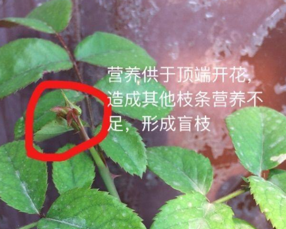 QQ图片20240329163225.png