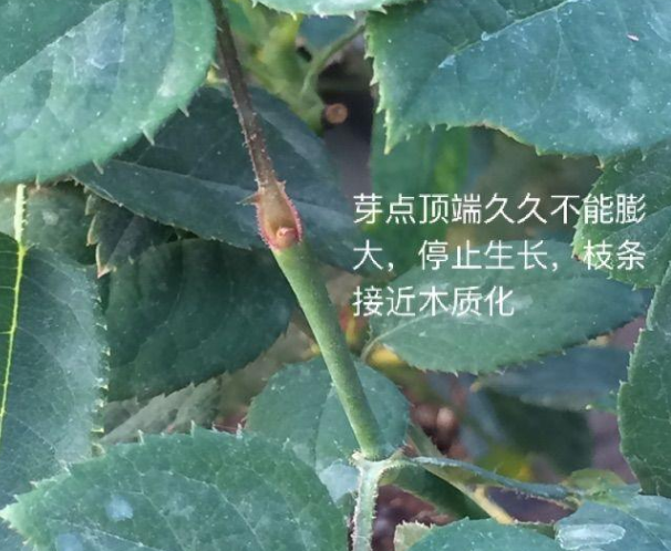 QQ图片20240329163209.png
