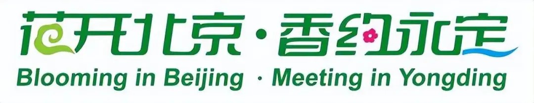 mmexport1726881397854.jpg