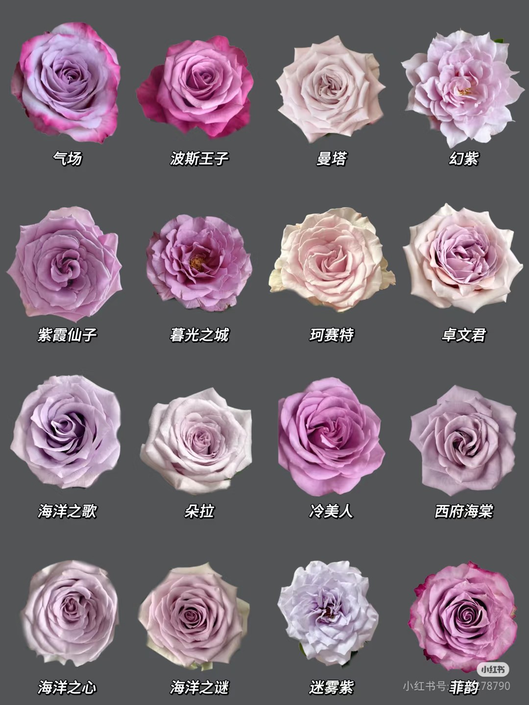 Camera_XHS_17451147304061040g2sg31gdm9ij53sfg5nv48tcgboqf23r8dco.jpg
