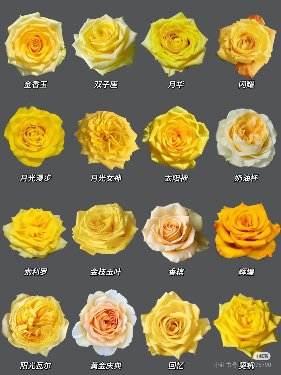 Camera_XHS_17451147264641040g2sg31gdm9ij53sgg5nv48tcgboqfkutp0sg.jpg