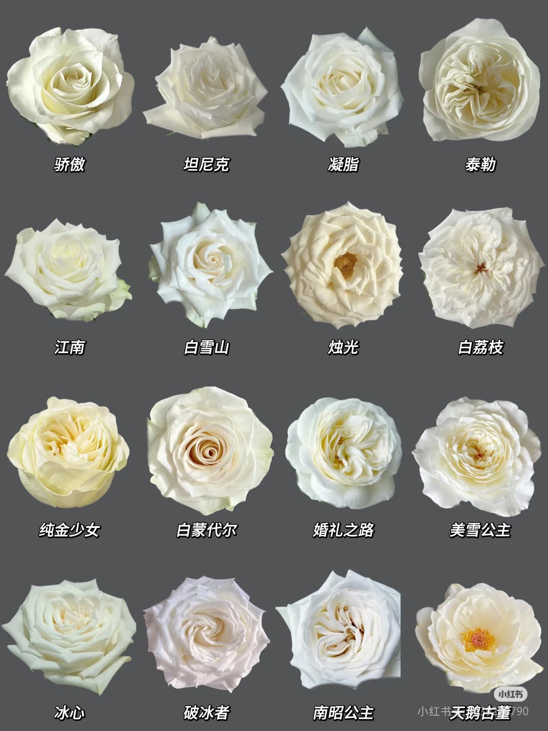 Camera_XHS_17451147224971040g2sg31gdm9ij53sig5nv48tcgboqff27a378.jpg