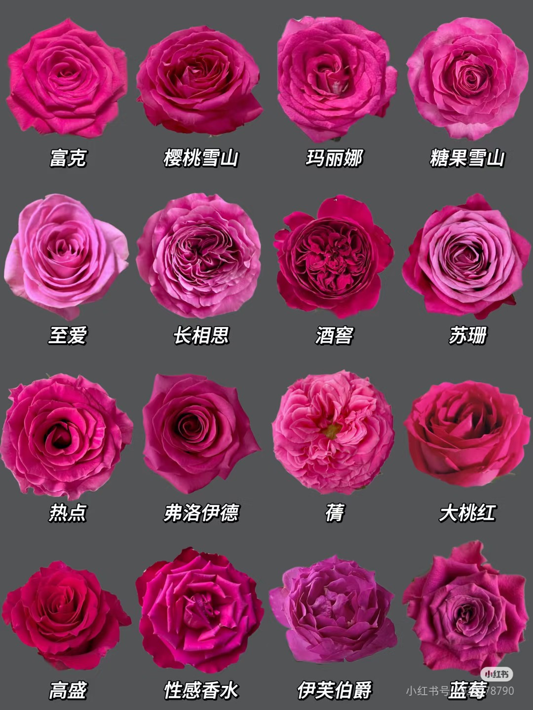 Camera_XHS_17451147142371040g2sg31gdm9ij53si05nv48tcgboqfgral20o.jpg