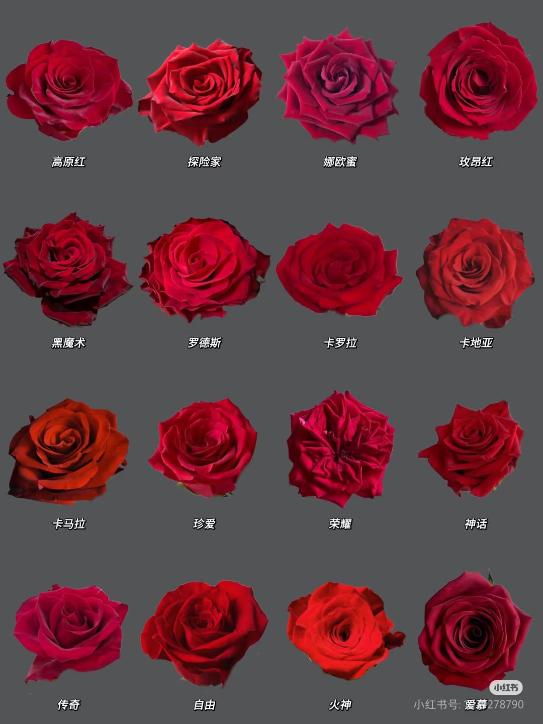 Camera_XHS_17451147058861040g2sg31gdm9ij53sjg5nv48tcgboqfmmatlq8.jpg